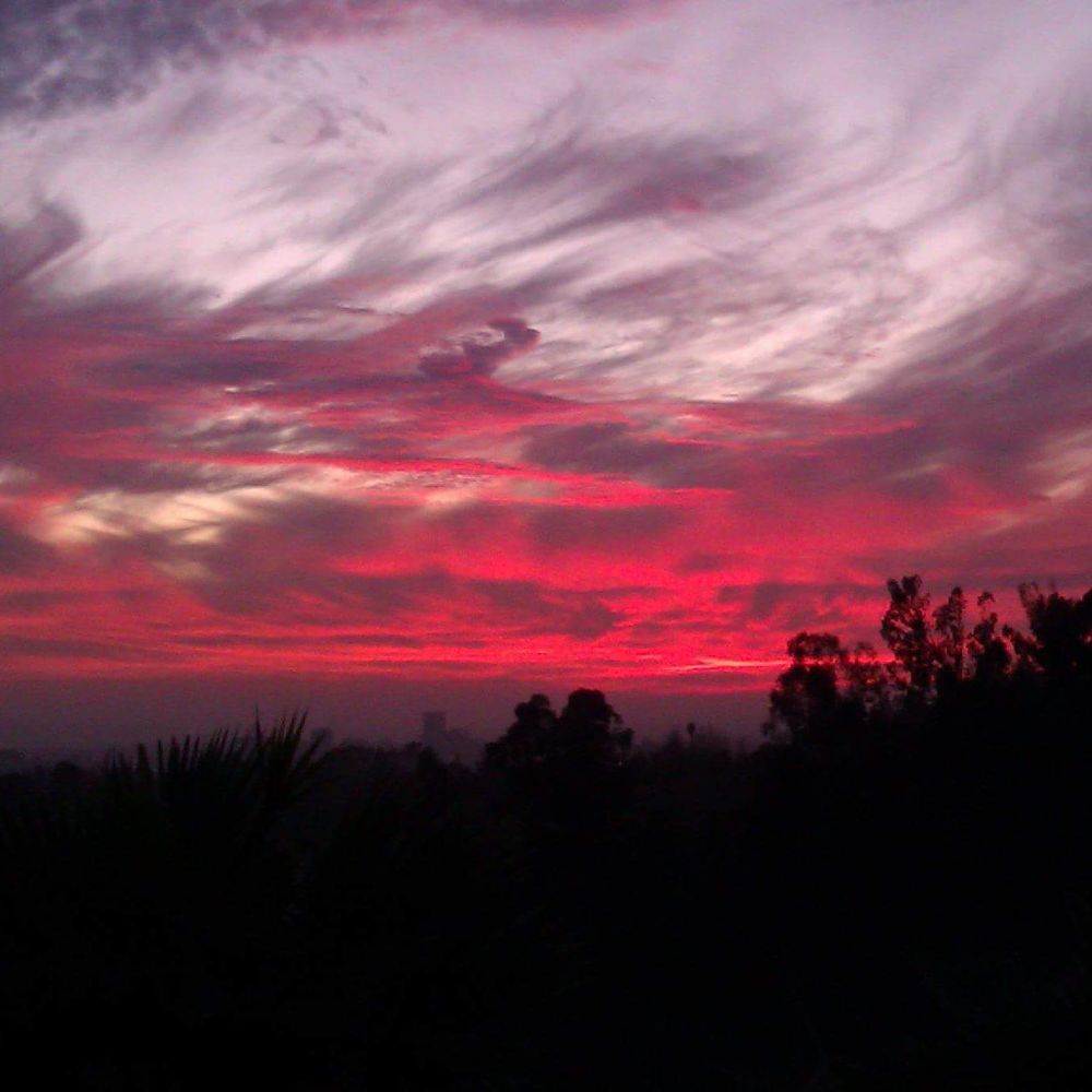 Meet your Posher, Marty Primo